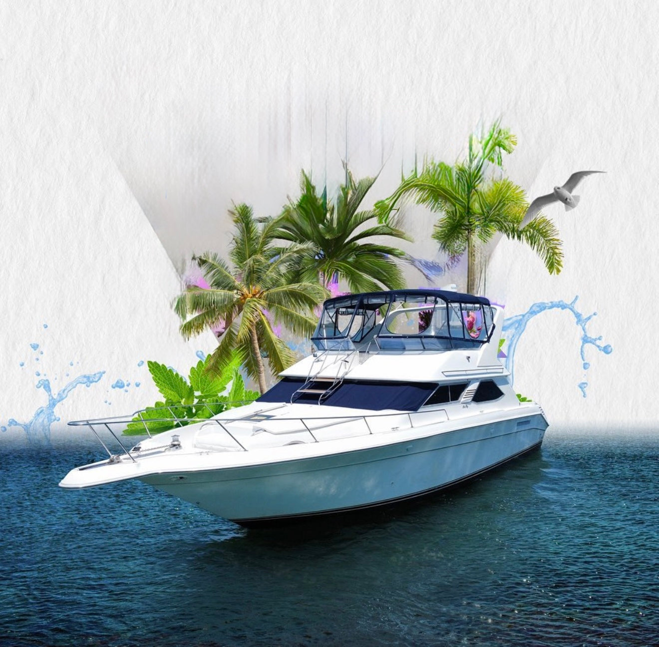 Sea Ray 50' Weekday Rates